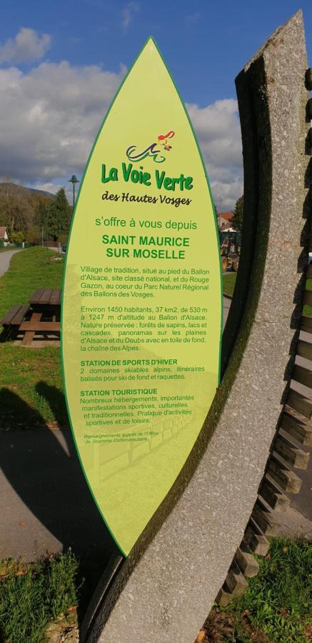Au Bonheur Fait Maison Bed and Breakfast Saint-Maurice-sur-Moselle Eksteriør billede